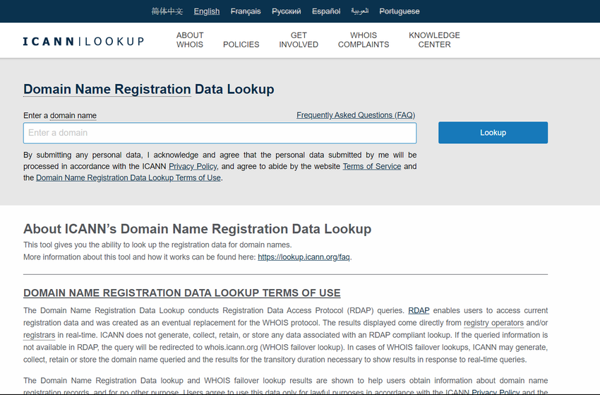 The figure is a screen shot of the ICANN DNS Domain Name Registration Lookup web page.