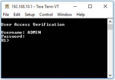 shows a Tera Term console window indicating that the remote SSH login was succesful