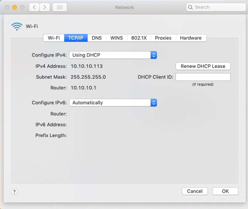 screen capture of the dialog box on a macOS host showing IP addressing configuration details including IP address, subnet mask, and router